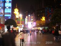 shanghai_46_2011