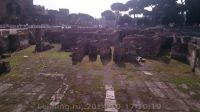 Rome-10-2014_171