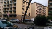 Firenze-10-2014_8